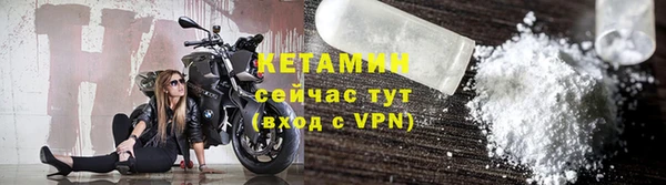 прущие грибы Гусь-Хрустальный