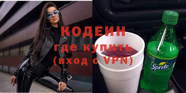 шишки Горняк