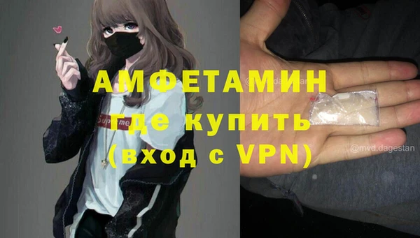 шишки Горняк