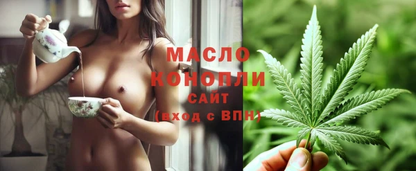 шишки Горняк