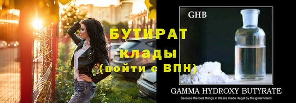 шишки Горняк