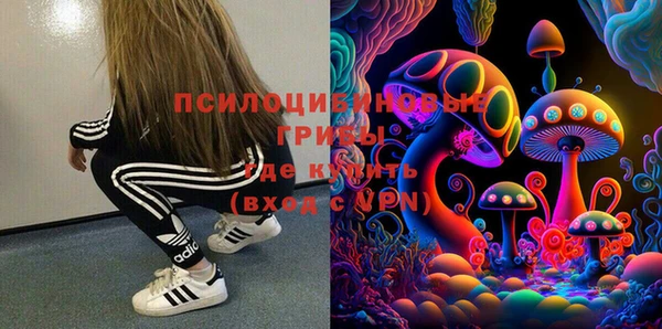 хмурый Гусев