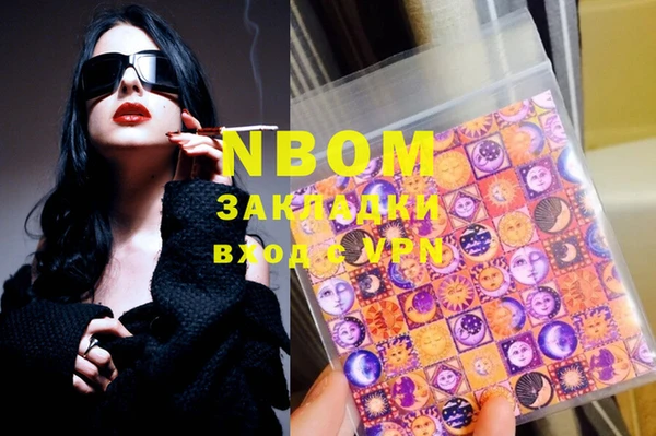 шишки Горняк