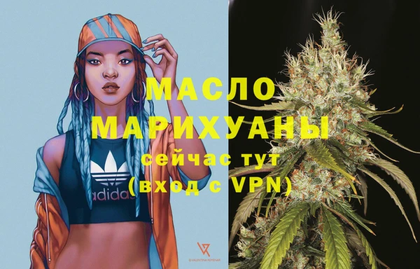 хмурый Гусев