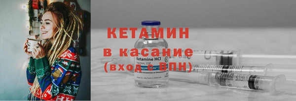 шишки Горняк