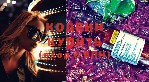 шишки Горняк