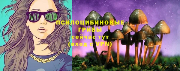 гидропоника Горнозаводск