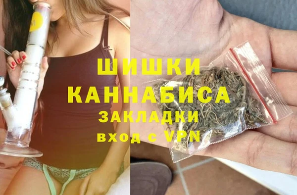 прущие грибы Гусь-Хрустальный