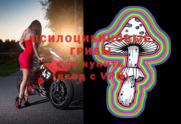 шишки Горняк