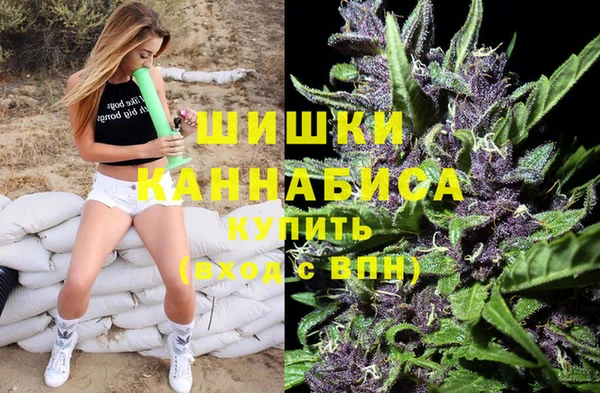 прущие грибы Гусь-Хрустальный